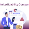 Growth - Limited Liability Partnership